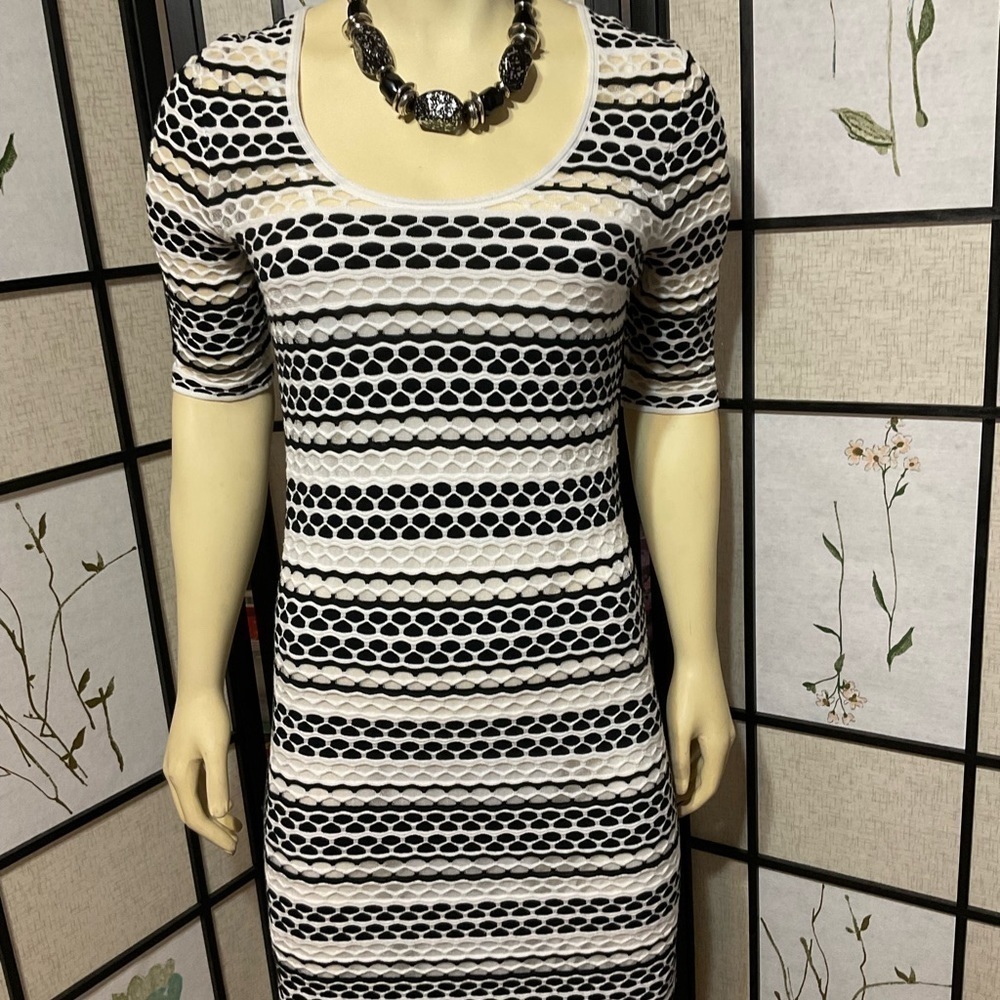 ETCETERA Black & White Sheer Bodycon Dress with Underslip